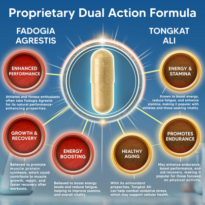 aSquared Nutrition Fadogia Agrestis 1000mg & Ali 400mg - 120 Capsules - Fadogia Agrestis Extract Supplement and Powder Complex Pills