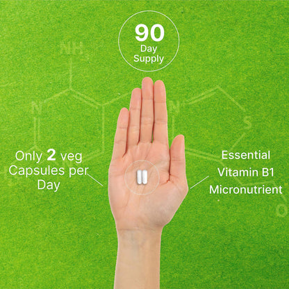 Benfotiamine 600mg Per Serving, 180 Veggie Capsules (300mg Per Cap) – Fat Soluble Vitamin B1 Thiamine Supplement